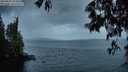 ./images/koeye/fitz-hugh/20250519/fitz-hugh20250519_052009M.jpg
