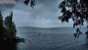./images/koeye/fitz-hugh/20250519/fitz-hugh20250519_052508M.jpg