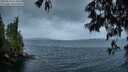 ./images/koeye/fitz-hugh/20250519/fitz-hugh20250519_053008M.jpg
