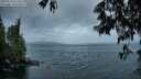 ./images/koeye/fitz-hugh/20250519/fitz-hugh20250519_053508M.jpg