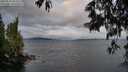 ./images/koeye/fitz-hugh/20250519/fitz-hugh20250519_062510M.jpg
