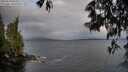 ./images/koeye/fitz-hugh/20250519/fitz-hugh20250519_063510M.jpg