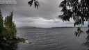 ./images/koeye/fitz-hugh/20250519/fitz-hugh20250519_070510M.jpg