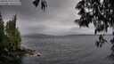 ./images/koeye/fitz-hugh/20250519/fitz-hugh20250519_071510M.jpg