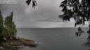 ./images/koeye/fitz-hugh/20250519/fitz-hugh20250519_103508M.jpg