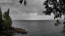 ./images/koeye/fitz-hugh/20250519/fitz-hugh20250519_105010M.jpg