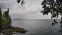 ./images/koeye/fitz-hugh/20250519/fitz-hugh20250519_105509M.jpg
