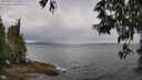 ./images/koeye/fitz-hugh/20250519/fitz-hugh20250519_110012M.jpg
