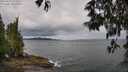 ./images/koeye/fitz-hugh/20250519/fitz-hugh20250519_110509M.jpg