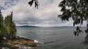 ./images/koeye/fitz-hugh/20250519/fitz-hugh20250519_111010M.jpg