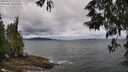 ./images/koeye/fitz-hugh/20250519/fitz-hugh20250519_112509M.jpg