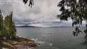 ./images/koeye/fitz-hugh/20250519/fitz-hugh20250519_113510M.jpg