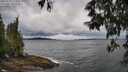 ./images/koeye/fitz-hugh/20250519/fitz-hugh20250519_114010M.jpg