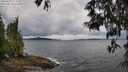 ./images/koeye/fitz-hugh/20250519/fitz-hugh20250519_114508M.jpg