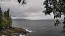 ./images/koeye/fitz-hugh/20250519/fitz-hugh20250519_124511M.jpg