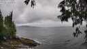 ./images/koeye/fitz-hugh/20250519/fitz-hugh20250519_134509M.jpg