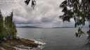 ./images/koeye/fitz-hugh/20250519/fitz-hugh20250519_140510M.jpg