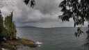 ./images/koeye/fitz-hugh/20250519/fitz-hugh20250519_143510M.jpg