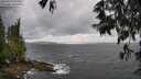 ./images/koeye/fitz-hugh/20250519/fitz-hugh20250519_154010M.jpg