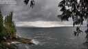 ./images/koeye/fitz-hugh/20250519/fitz-hugh20250519_162508M.jpg