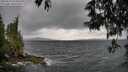 ./images/koeye/fitz-hugh/20250519/fitz-hugh20250519_163011M.jpg