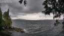 ./images/koeye/fitz-hugh/20250519/fitz-hugh20250519_163508M.jpg