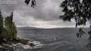 ./images/koeye/fitz-hugh/20250519/fitz-hugh20250519_165010M.jpg