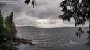 ./images/koeye/fitz-hugh/20250519/fitz-hugh20250519_165510M.jpg