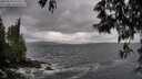 ./images/koeye/fitz-hugh/20250519/fitz-hugh20250519_170510M.jpg