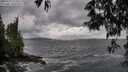 ./images/koeye/fitz-hugh/20250519/fitz-hugh20250519_171009M.jpg
