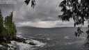 ./images/koeye/fitz-hugh/20250519/fitz-hugh20250519_171511M.jpg