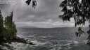 ./images/koeye/fitz-hugh/20250519/fitz-hugh20250519_172509M.jpg