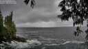 ./images/koeye/fitz-hugh/20250519/fitz-hugh20250519_173510M.jpg
