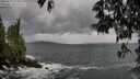 ./images/koeye/fitz-hugh/20250519/fitz-hugh20250519_175010M.jpg
