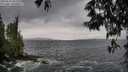 ./images/koeye/fitz-hugh/20250519/fitz-hugh20250519_181510M.jpg