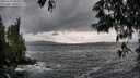 ./images/koeye/fitz-hugh/20250519/fitz-hugh20250519_185010M.jpg