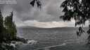 ./images/koeye/fitz-hugh/20250519/fitz-hugh20250519_190009M.jpg
