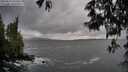 ./images/koeye/fitz-hugh/20250519/fitz-hugh20250519_192008M.jpg