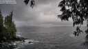 ./images/koeye/fitz-hugh/20250519/fitz-hugh20250519_193009M.jpg