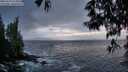 ./images/koeye/fitz-hugh/20250519/fitz-hugh20250519_213508M.jpg