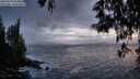 ./images/koeye/fitz-hugh/20250519/fitz-hugh20250519_214009M.jpg