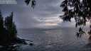./images/koeye/fitz-hugh/20250519/fitz-hugh20250519_214509M.jpg