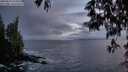 ./images/koeye/fitz-hugh/20250519/fitz-hugh20250519_215009M.jpg