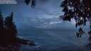 ./images/koeye/fitz-hugh/20250519/fitz-hugh20250519_220508M.jpg