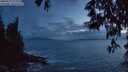 ./images/koeye/fitz-hugh/20250519/fitz-hugh20250519_221009M.jpg
