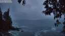 ./images/koeye/fitz-hugh/20250520/fitz-hugh20250520_050508M.jpg