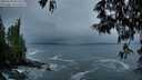 ./images/koeye/fitz-hugh/20250520/fitz-hugh20250520_052507M.jpg