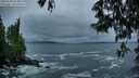 ./images/koeye/fitz-hugh/20250520/fitz-hugh20250520_054008M.jpg