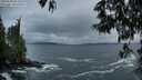 ./images/koeye/fitz-hugh/20250520/fitz-hugh20250520_054508M.jpg