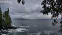 ./images/koeye/fitz-hugh/20250520/fitz-hugh20250520_055009M.jpg